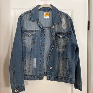 Blue Denim Distressed Jacket
